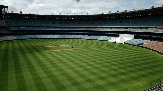 自己的未来 自己的未来