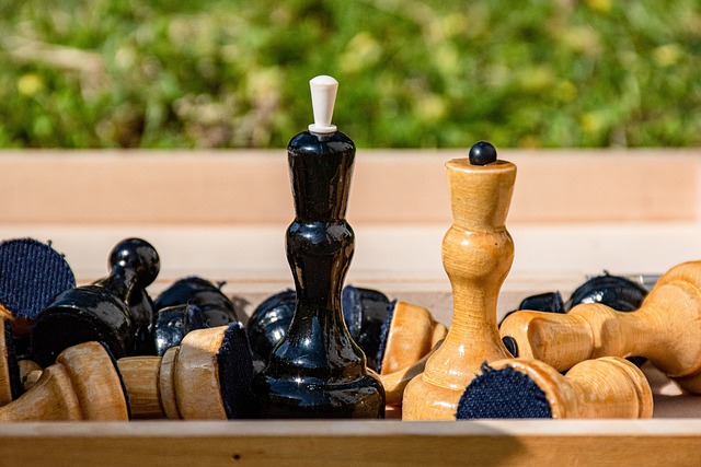 期间的公共 期间的公共