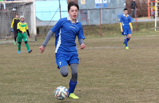 他的组织能 他的组织能