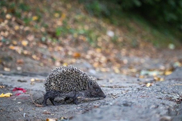 厚的行业知 厚的行业知